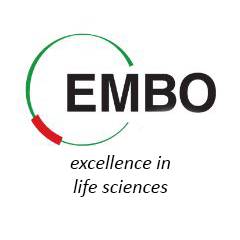 EMBO logo