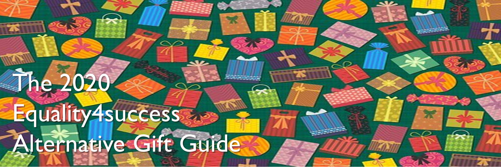 The equality4success Alternative Gift Guide