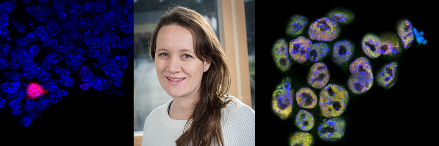 Melanie Eckersley-Maslin receives award for stem cell research