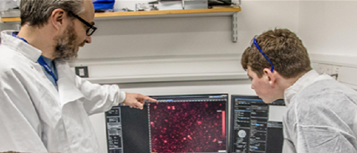 Researcher and student looking at data on computer