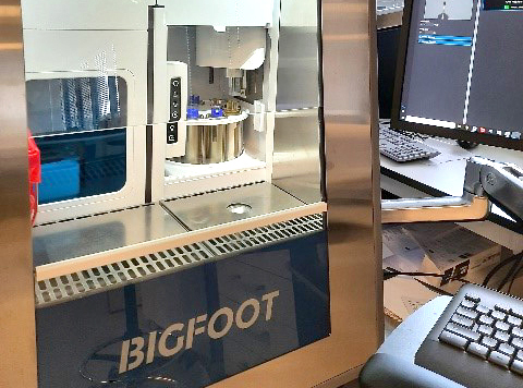 Bigfoot