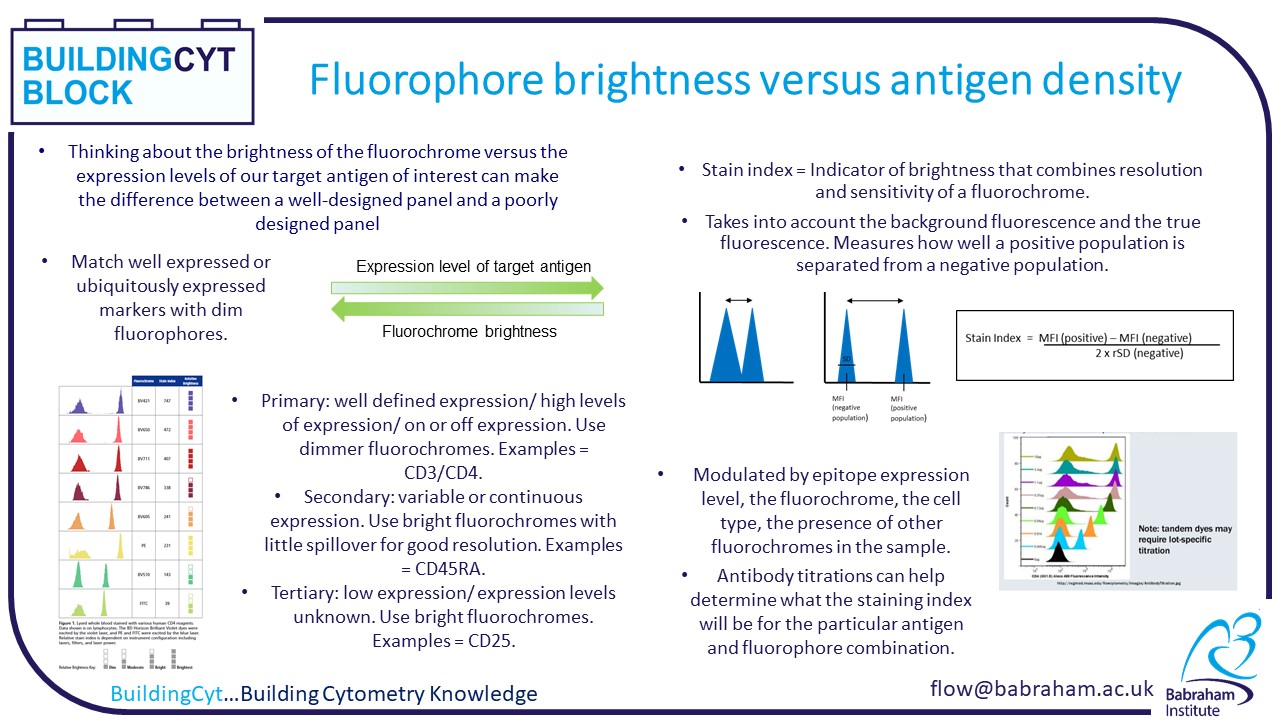 Fluorophore brightness versus antigen density