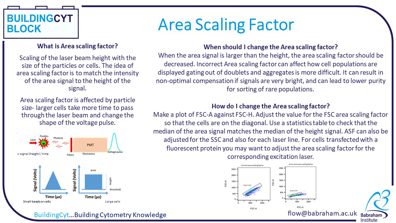 Area Scaling Factor