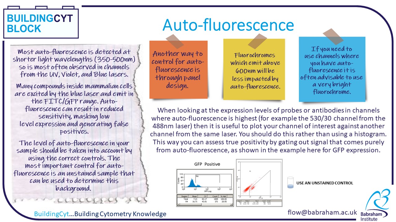 Autofluorescence