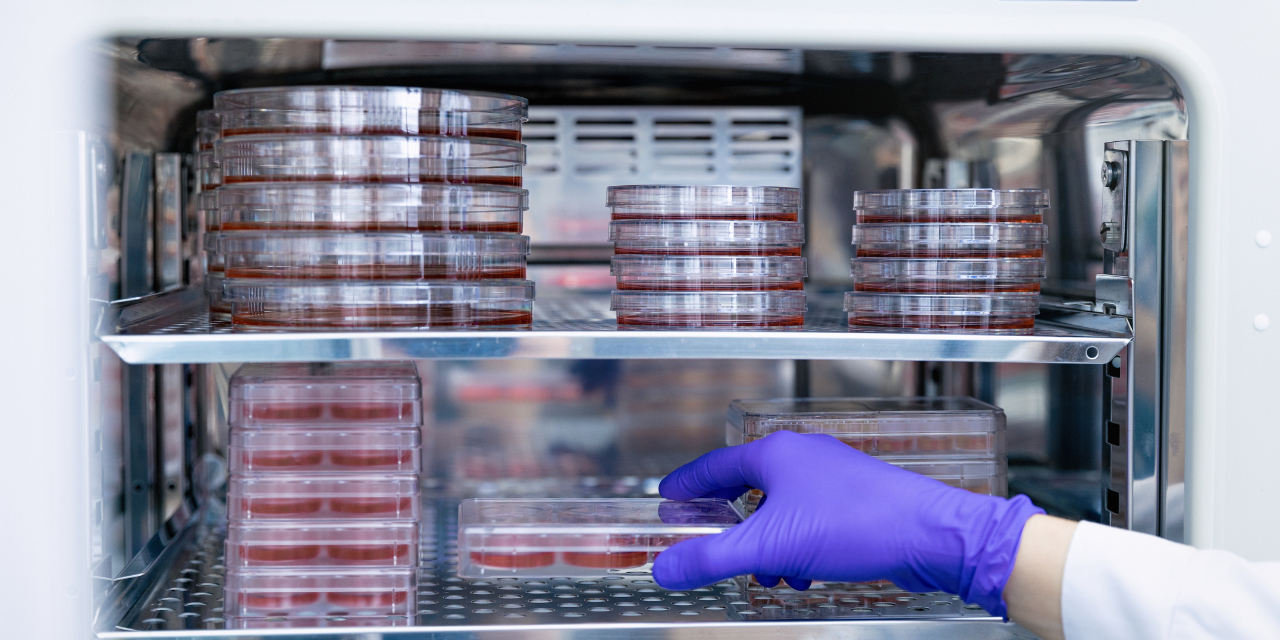 Sustainable science: Tips from the Raff Lab | Babraham Institute