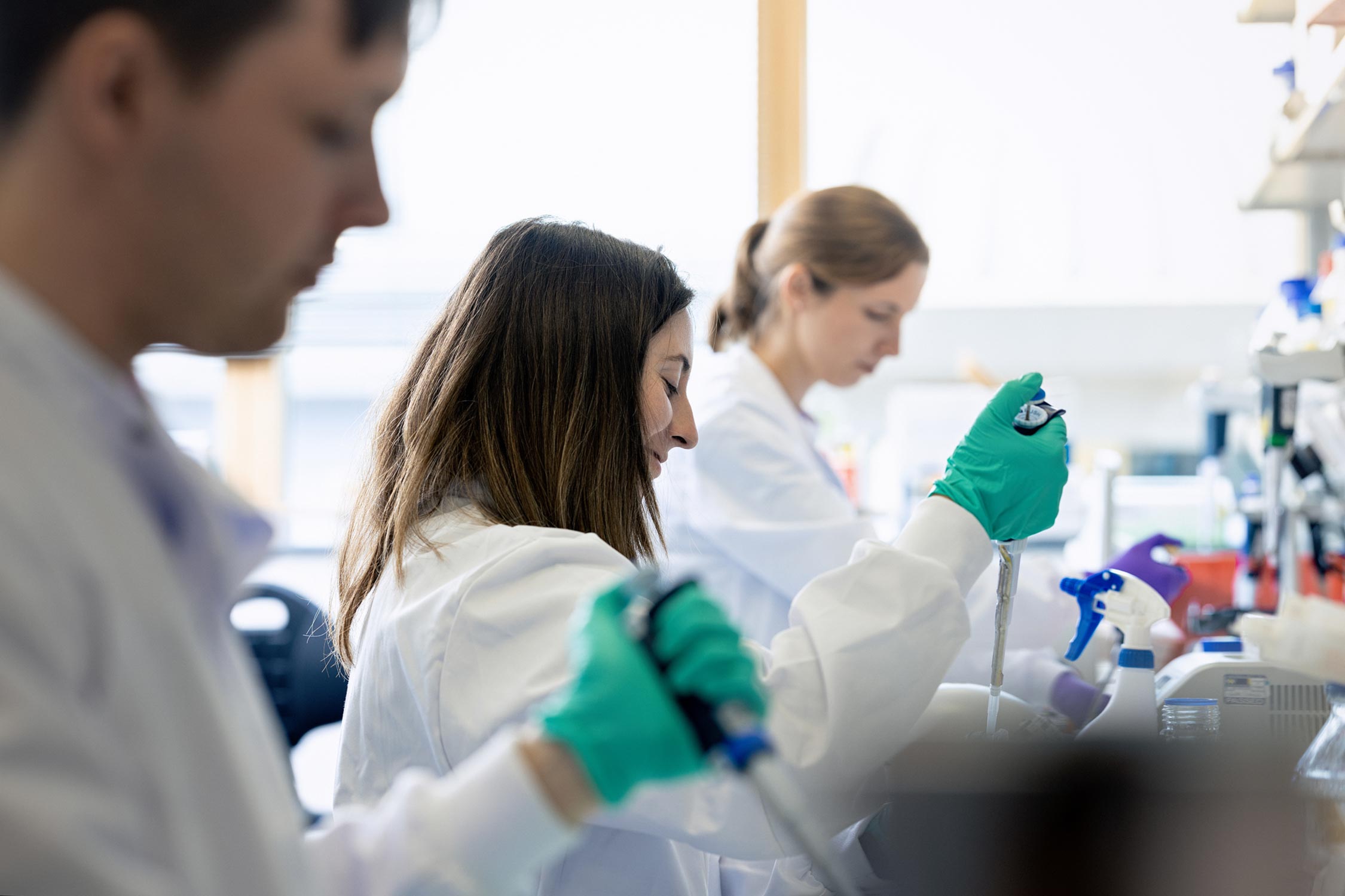 Group of researchers working in the lab