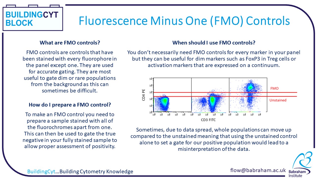 Fluorescence Minus One (FMO) Controls