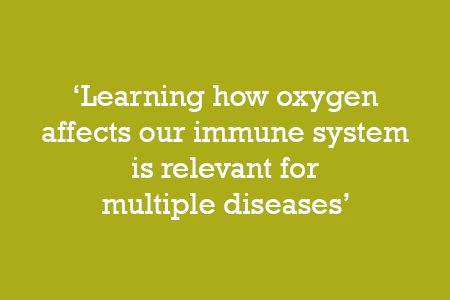 Learning how oxygen affects our immune system is relevant for multiple diseases