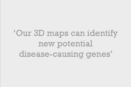 Our 3D maps can identify new potential disease-causing genes