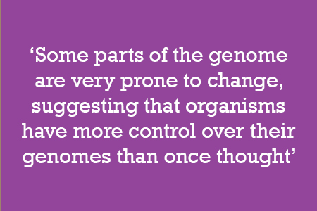 Some parts of the genome are very prone to change, suggesting that organisms have more control over their genomes than once thought