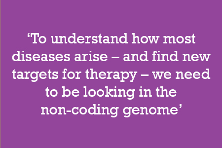 To understand how most diseases arise – and find new targets for therapy – we need to be looking in the non-coding genome
