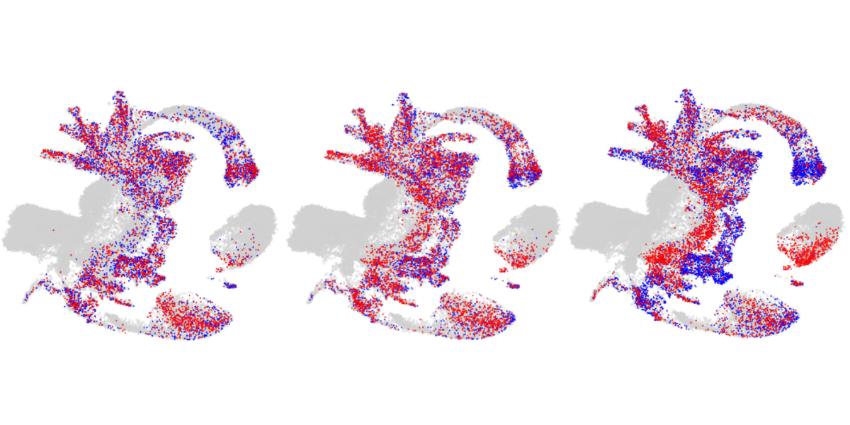 Single cell research spotlights the role of DNA methylation on cell fate decisions