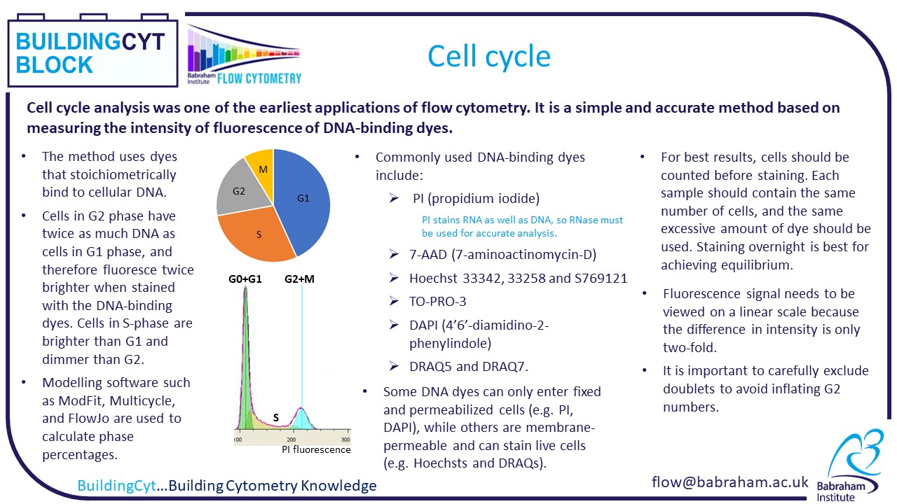 Cell Cycle