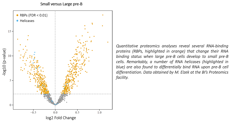 Quantitative proteomics analyses 