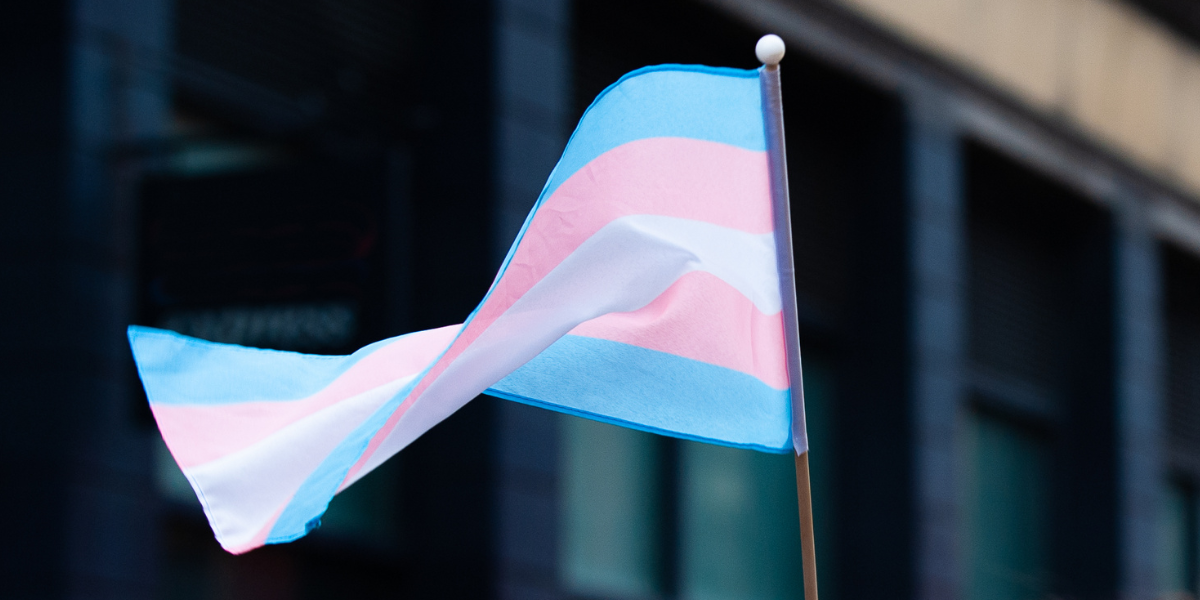 Creating trans inclusion at work