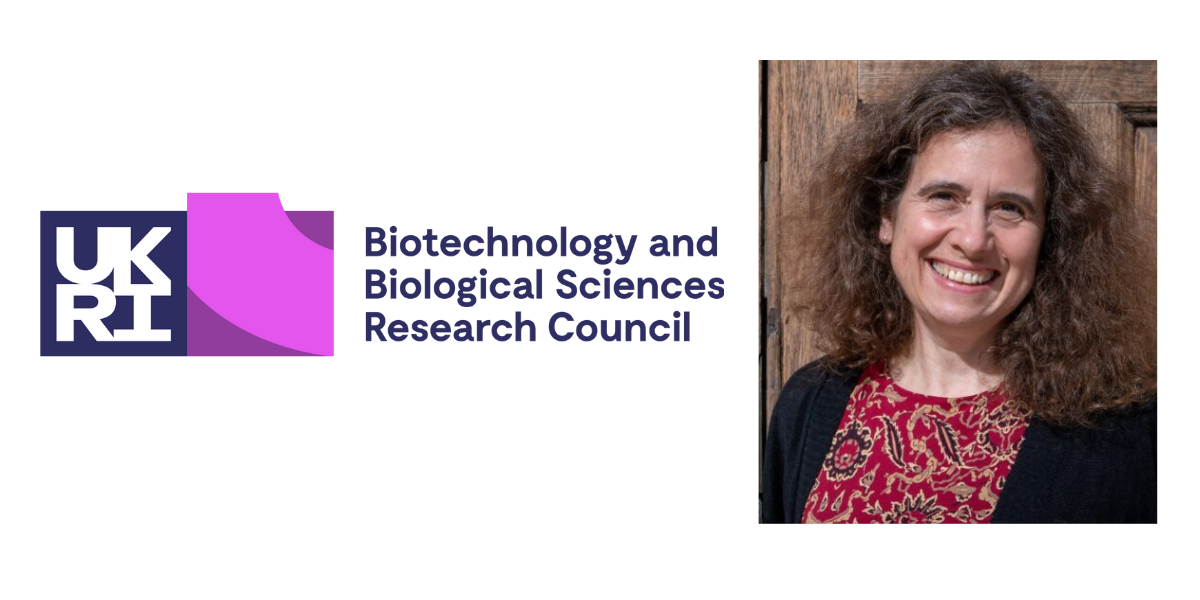 Institute welcomes appointment of Anne Ferguson-Smith as BBSRC Executive Chair