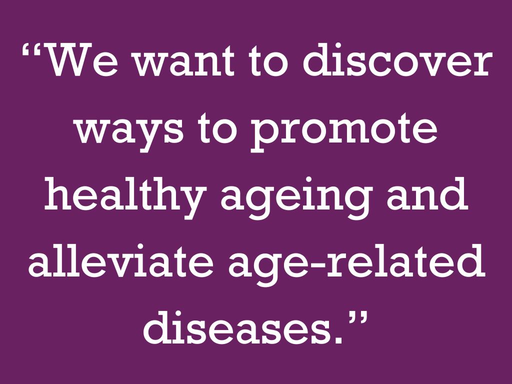 “We want to discover ways to promote healthy ageing and alleviate age-related diseases.”