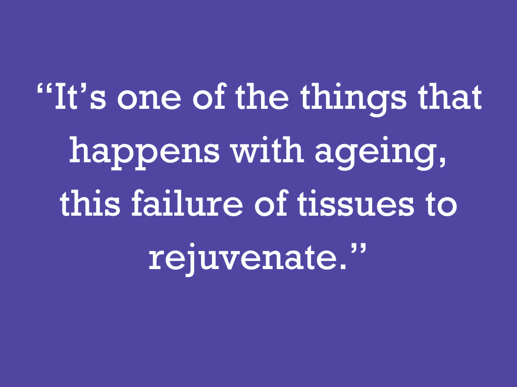 “It’s one of the things that happens with ageing, this failure of tissues to rejuvenate.”