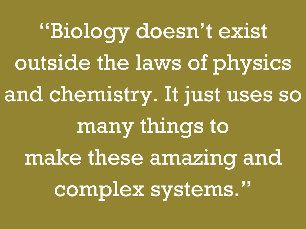 “Biology doesn’t exist outside the laws of physics and chemistry. It just uses so many things to make these amazing and complex systems.”