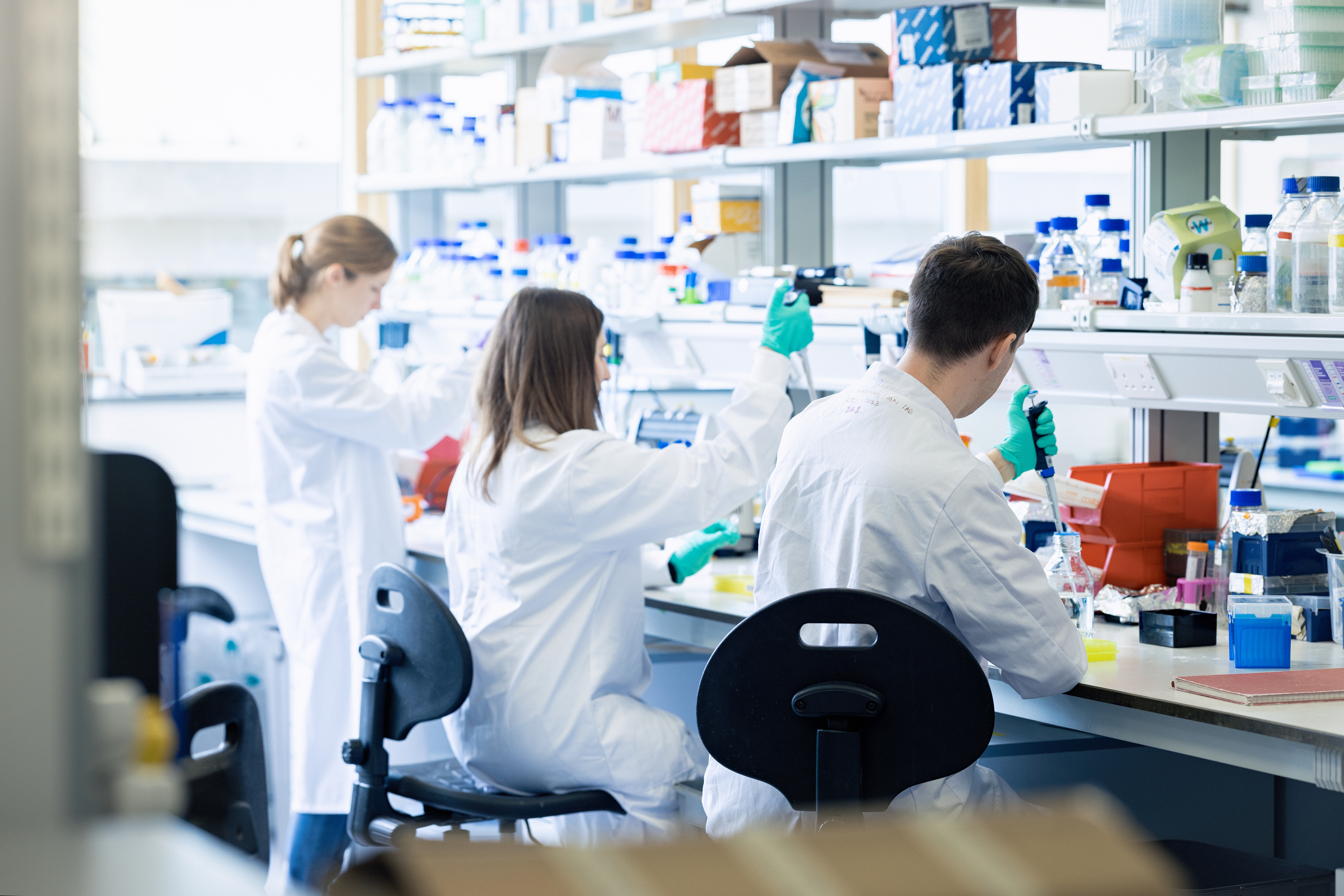 Three researchers work in the lab