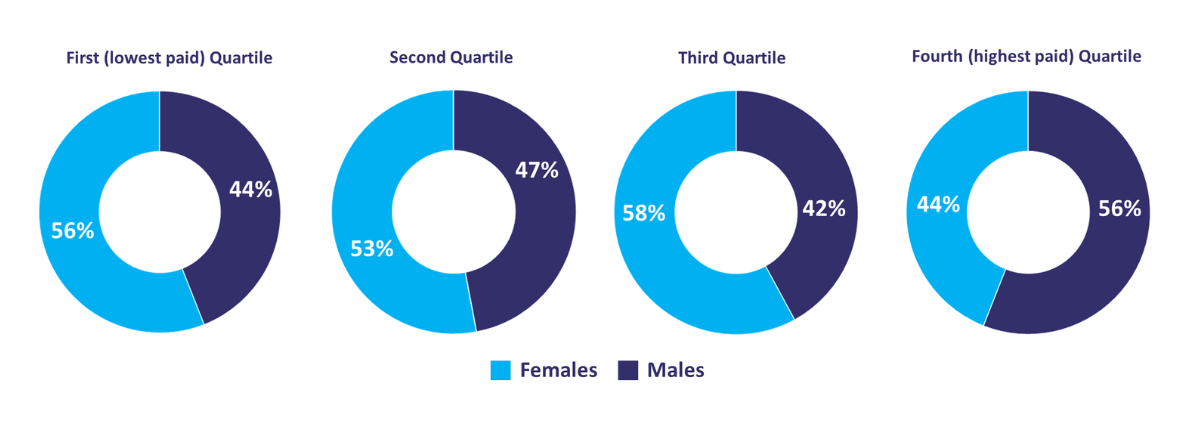 A sequence of four doughnut charts representing the proportion of female and male staff in the four different quartile groupings. In the first (lowest paid) quartile, 44% of staff are male and 56% of staff are female. In the second quartile, 47% of staff are male and 53% are female.  In the third quartile, 42% of staff are male and 58% are female.  In the fourth (highest paid) quartile, 56% of staff are male and 44% are female.   