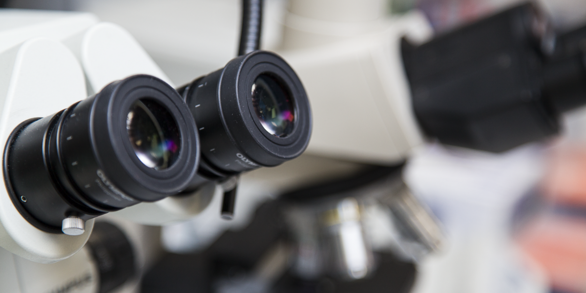My career: How I became a facilities scientist