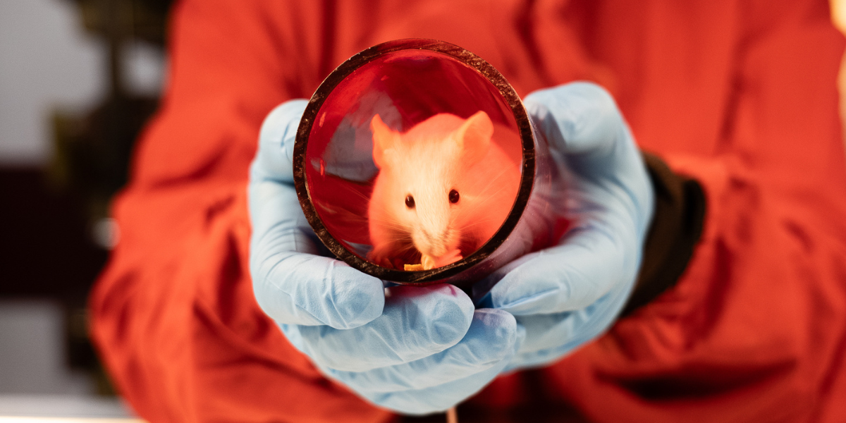 Institute’s animal facility retains AAALAC accreditation