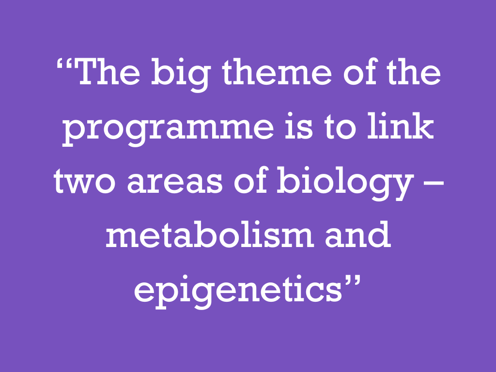 White text on a purple background, reading: “The big theme of the programme is to link two areas of biology – metabolism and epigenetics.”