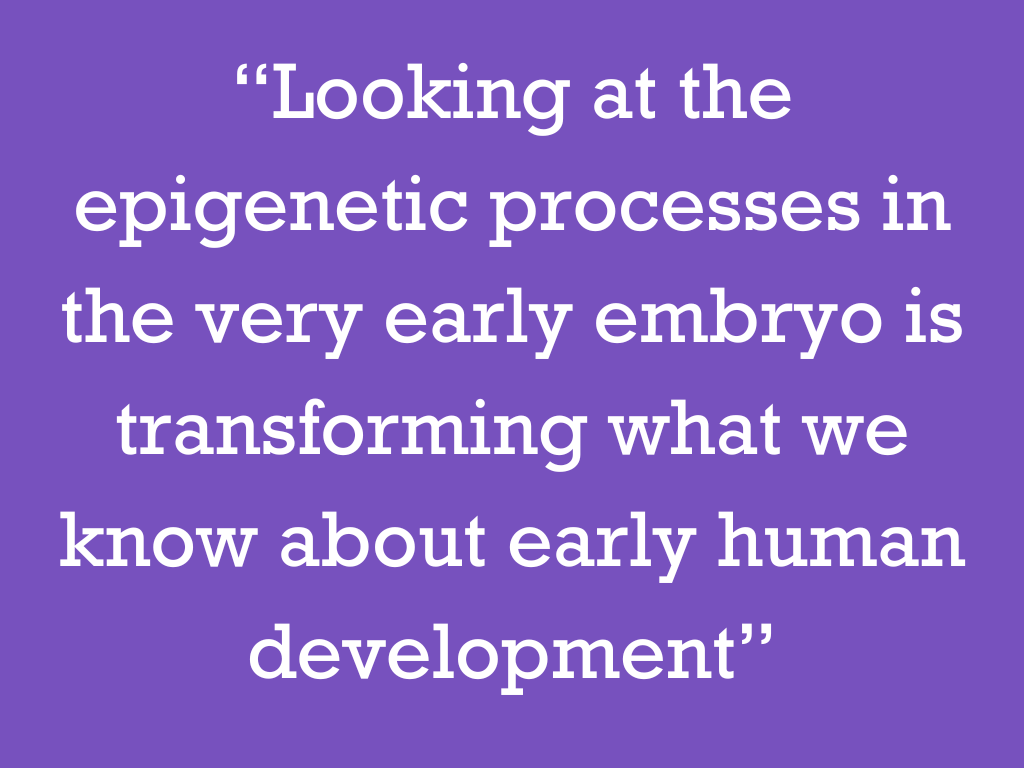 White text on a purple background, reading: “Looking at the epigenetic processes in the very early embryo is transforming what we know about early human development.”