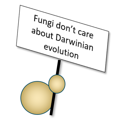 Fungi don't care