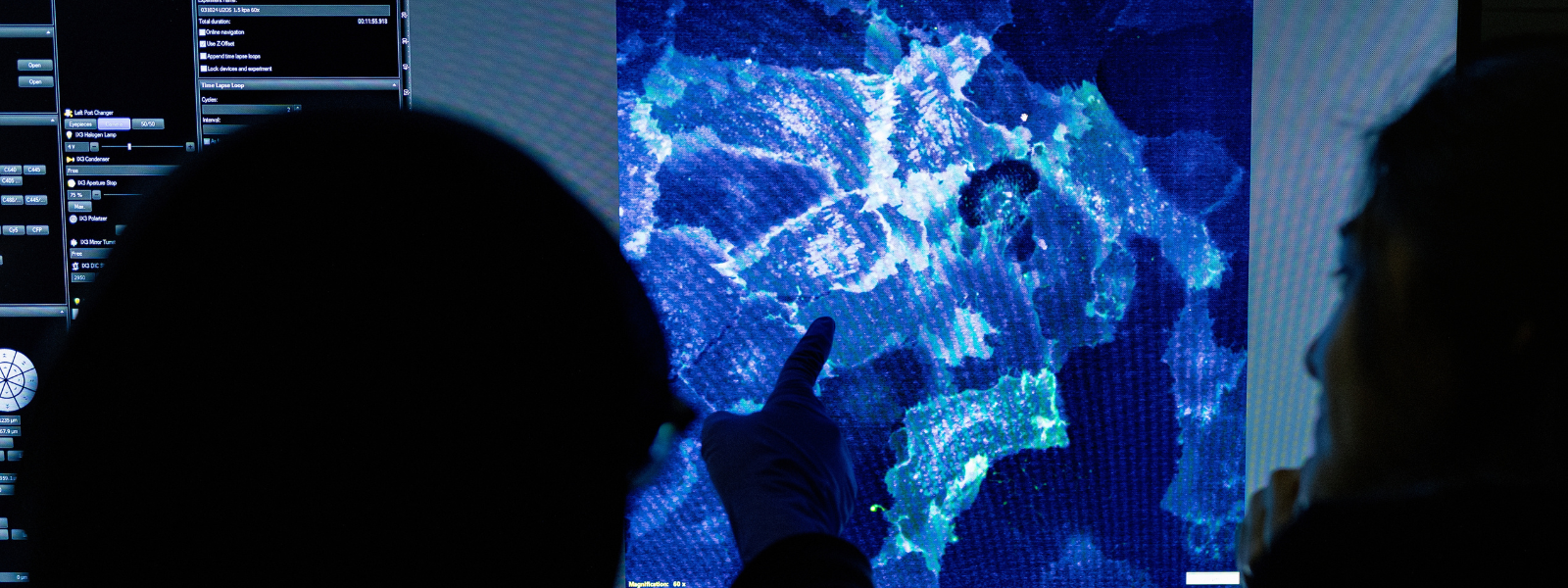 Two researchers discuss a microscopy image on screen