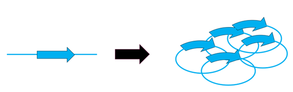 eccDNA