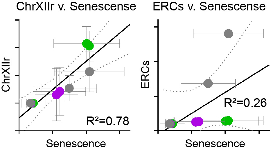 ChrXIIr vs senescence
