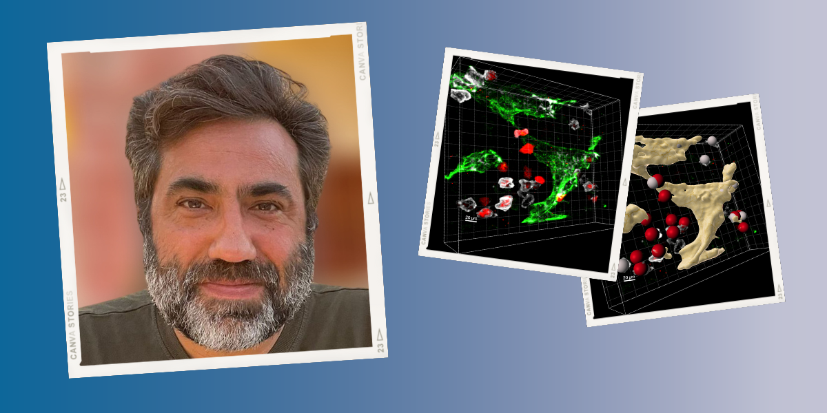 Institute welcomes Dr Dinis Calado as a senior group leader in the Immunology programme