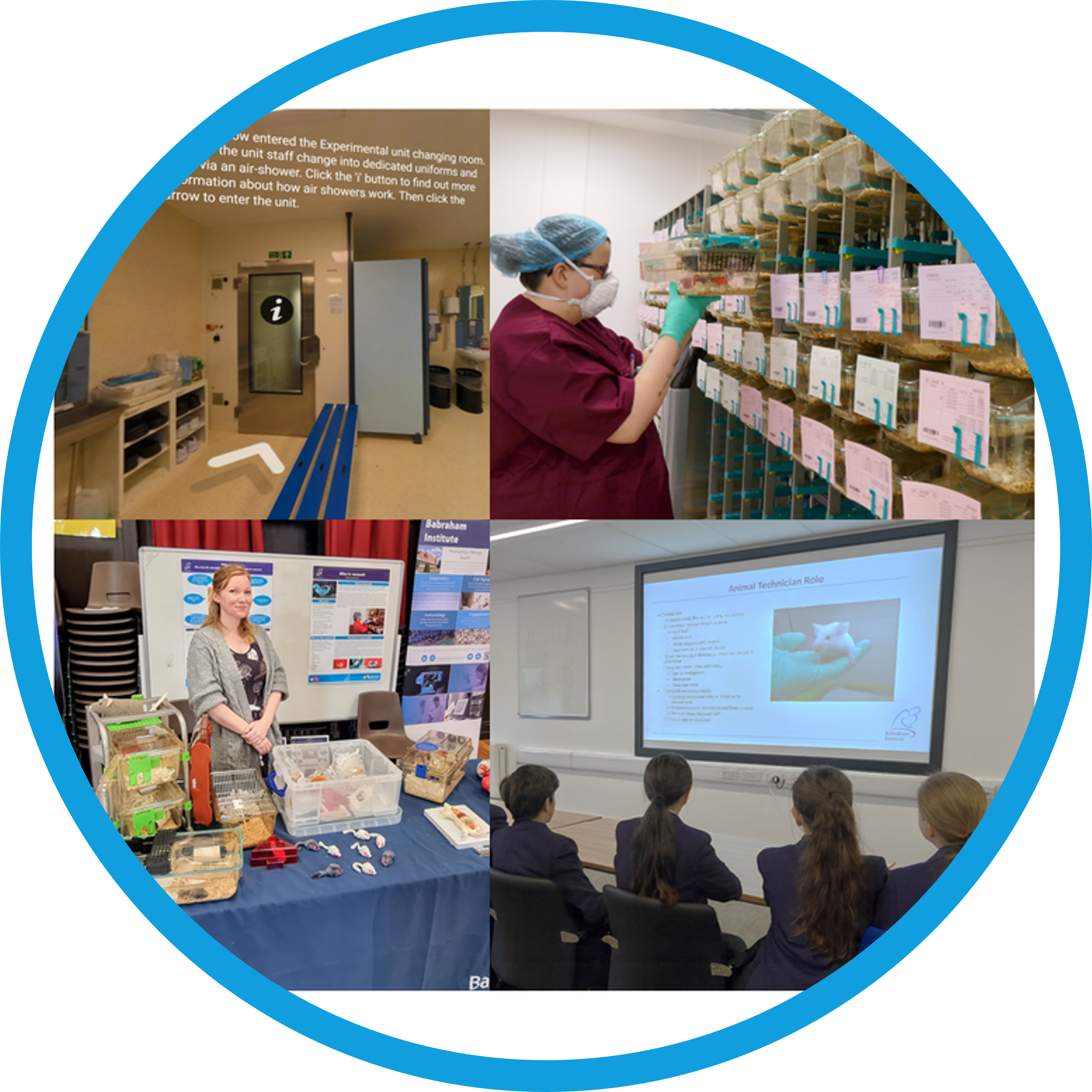 Collage of BSU staff working to engage the public