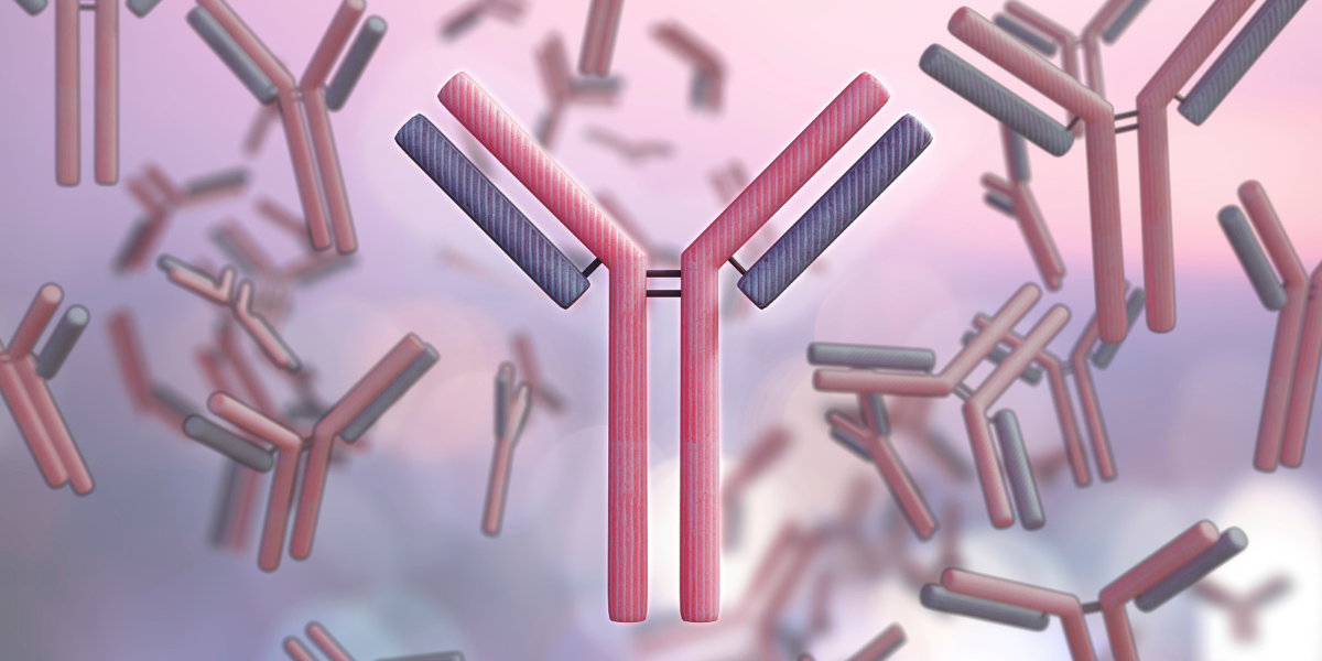 Institute immunologists uncover new process important for antibody diversity