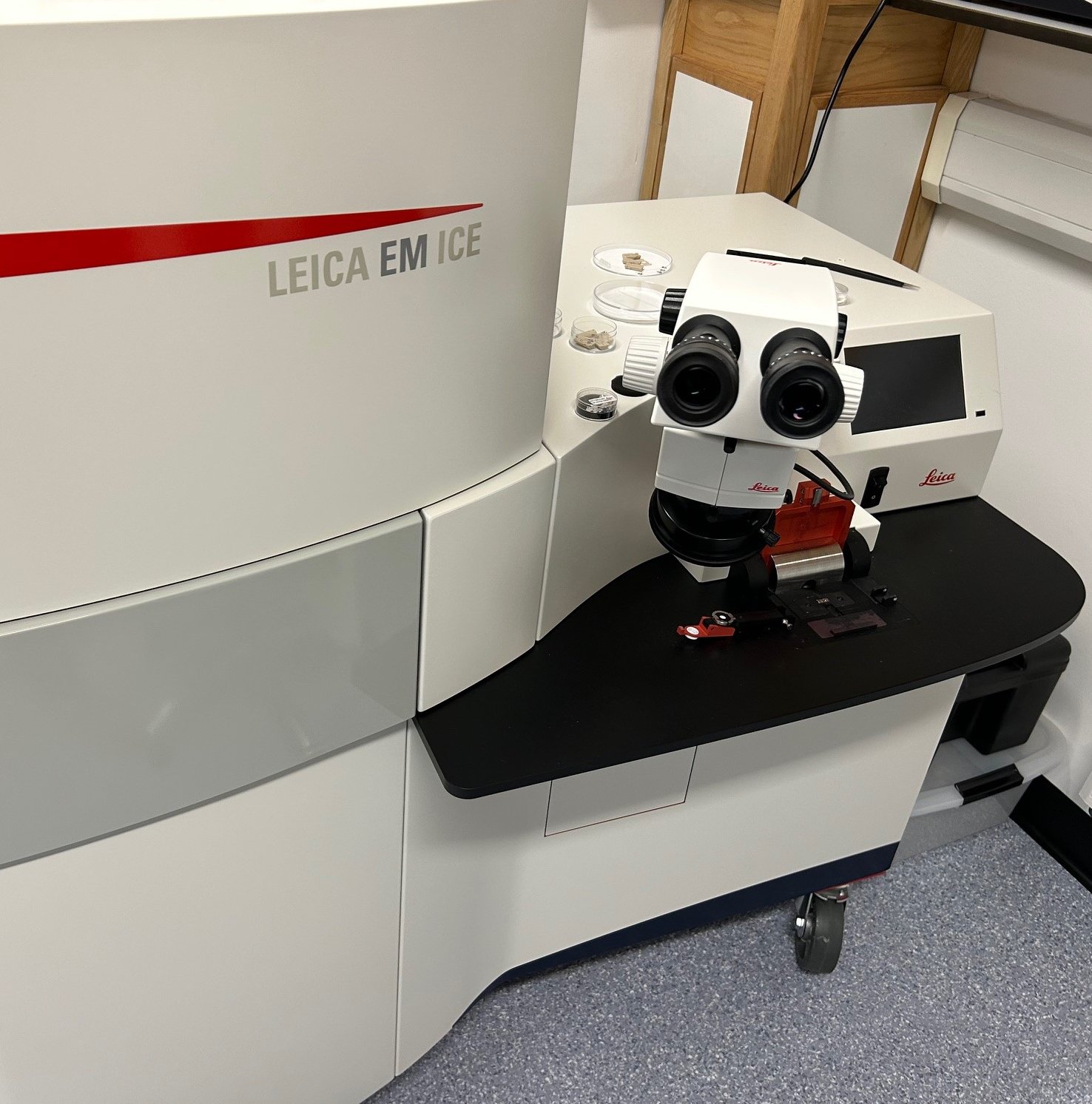 Electron11