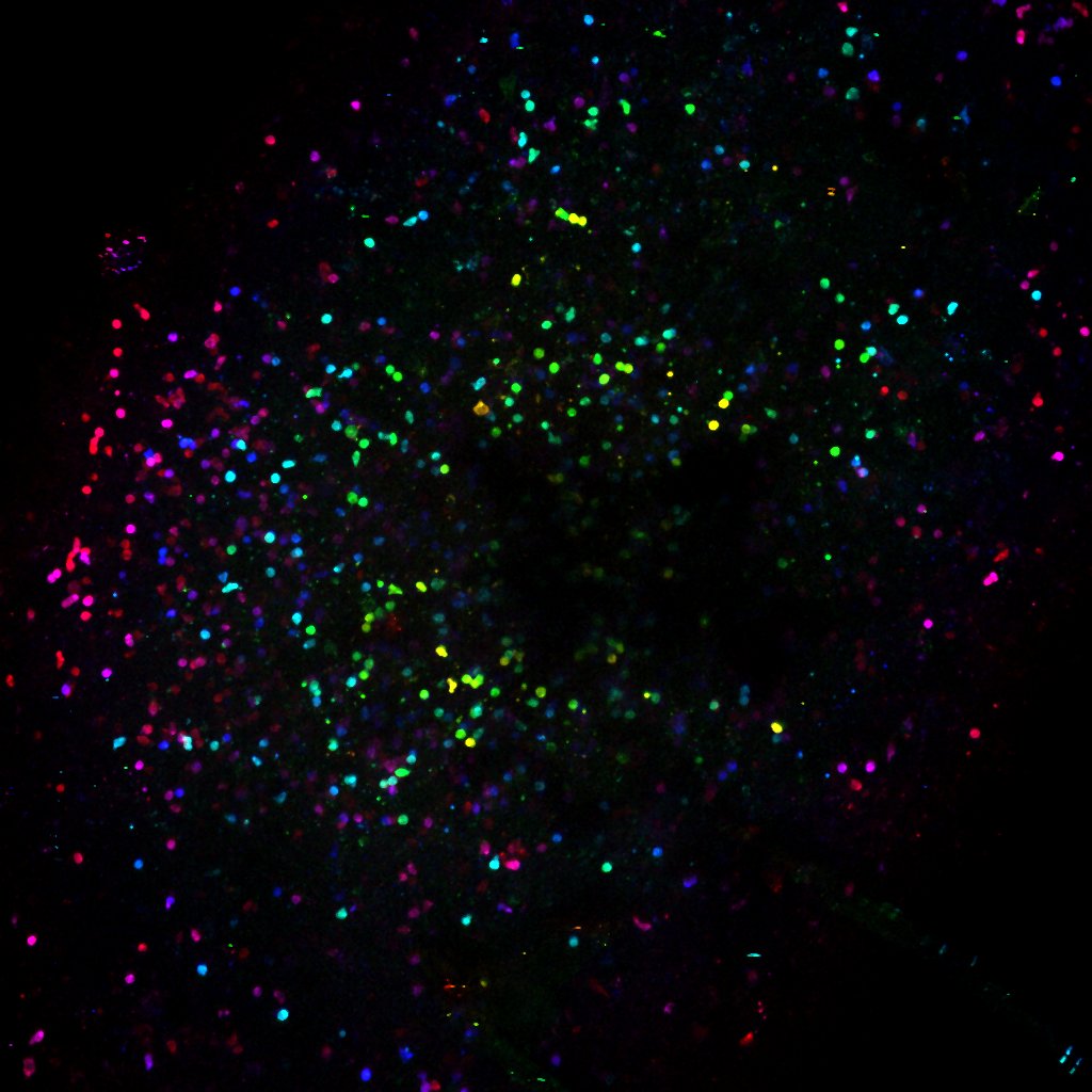 Multiphoton
