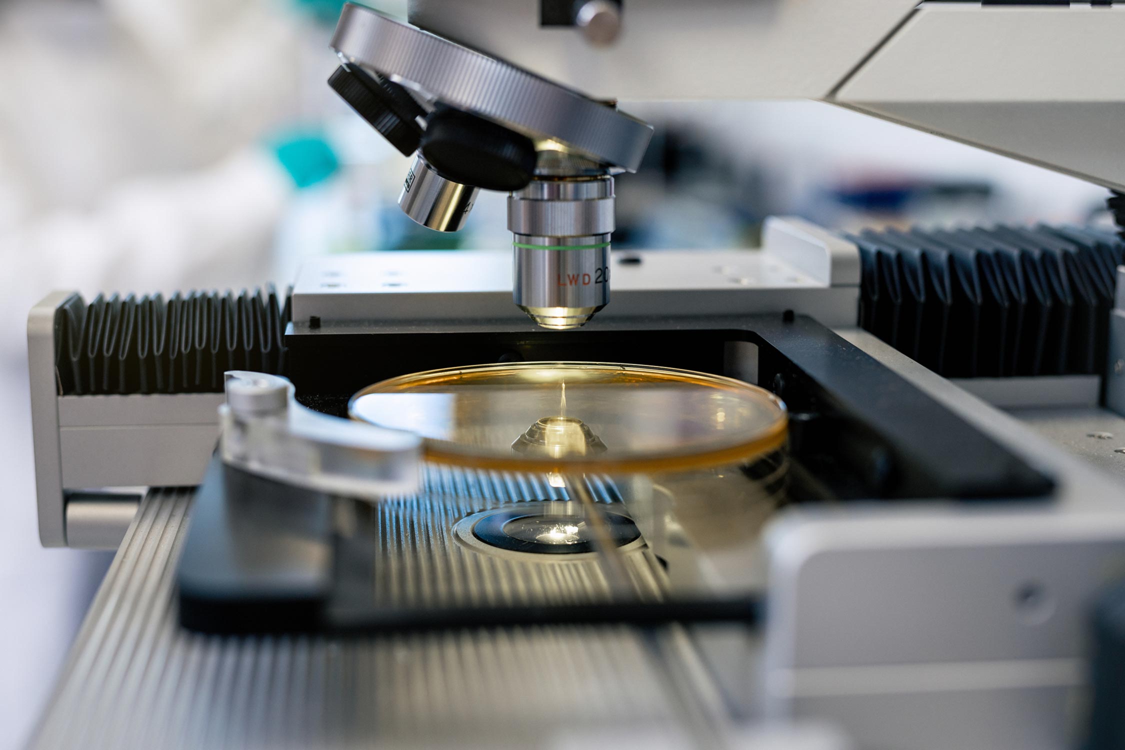 Microscope pointed at an agar plate