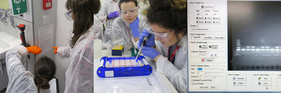 Cambridge Academy for Science &amp; Technology students find inspiration for their investigations
