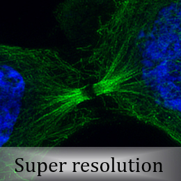 Cell image via super resolution