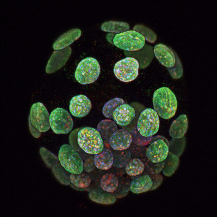 Epigenetics Symposium for Industry