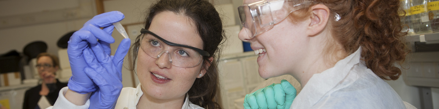 Discover life in our laboratories at Schools' Day 2016