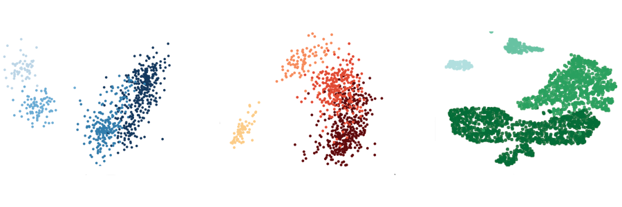 Single-cell analysis of the earliest cell fate decisions in development