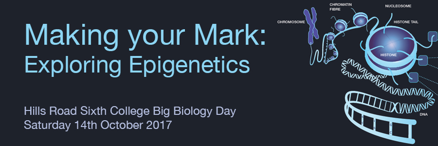 Making your Mark: Exploring Epigenetics at Big Biology Day