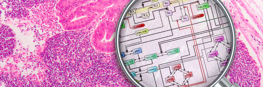 Over 6,700 computational models of cancer now available online