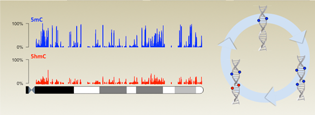 An exciting collaboration demonstrates a new technique that will transform epigenetics research