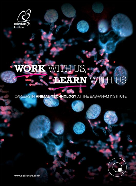Careers brochure cover