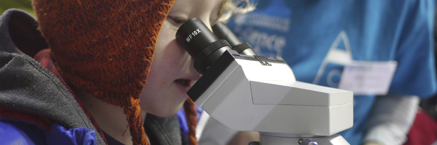 Molecular Exploration at the Science Festival