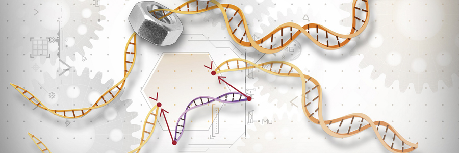14th March: Genome Editing Workshop aimed at students aged 11-16 @Cambridge Science Festival